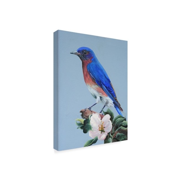 Carol J Rupp 'Eastern Bluebird In Trees' Canvas Art,14x19